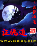证魂道章节列表
