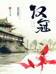 汉冠章节列表