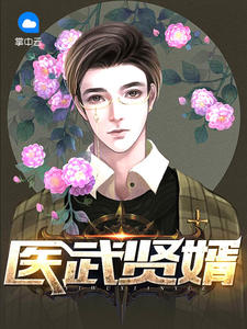 叶风唐言蹊章节列表