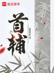 首辅章节列表