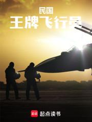 民国：王牌飞行员章节列表