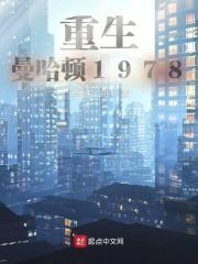 重生曼哈顿1978章节列表