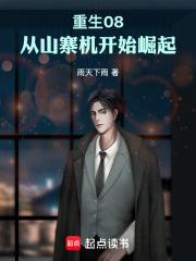 重生08：从山寨机开始崛起章节列表
