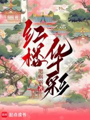 红楼华彩章节列表