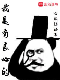 我是有良心的章节列表