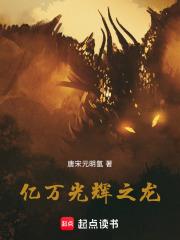 亿万光辉之龙章节列表