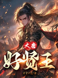 大唐好贤王章节列表