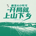 重生60年代，开局就上山下乡章节列表
