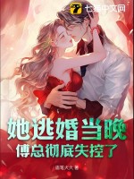 她逃婚当晚，傅总彻底失控了章节列表