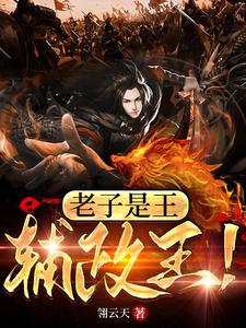 老子是王，辅政王！章节列表