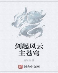 剑起风云主苍穹章节列表