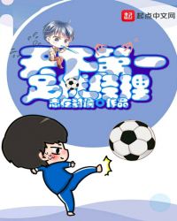 天下第一足球经理章节列表