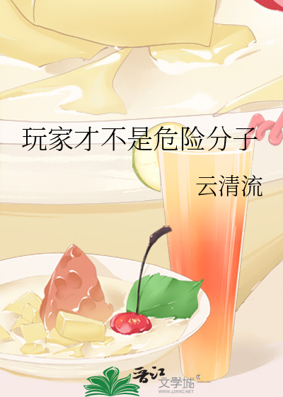 玩家才不是危险分子章节列表