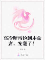 高冷暗帝捡到本命妻，宠翻了！章节列表