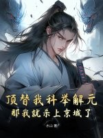 顶替我科举解元，那我就杀上京城了章节列表