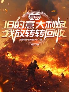 亮剑：旧的意大利炮我放转转回收章节列表