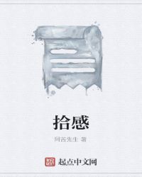 拾感章节列表