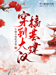 穿到大汉搞基建章节列表