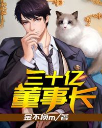 三十亿董事长章节列表