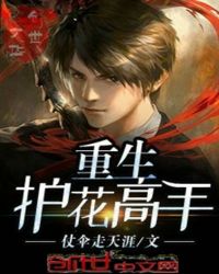 重生护花高手章节列表