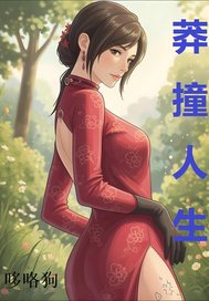 莽撞人生章节列表
