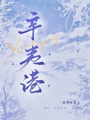 辛夷港章节列表