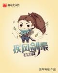 海贼之疾风剑豪章节列表
