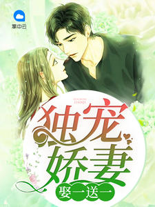 独宠娇妻娶一送一章节列表
