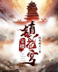 宝楼镇苍穹章节列表