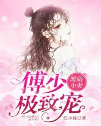 暖萌小妻：傅少极致宠章节列表