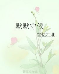 默默守候章节列表