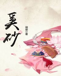 奚砂章节列表