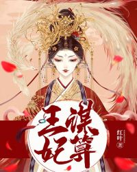 王谋妃算章节列表