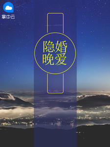 隐婚晚爱章节列表