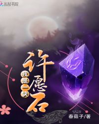 我是一块许愿石章节列表