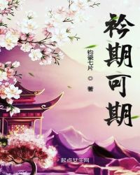 衿期可期章节列表