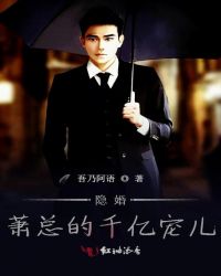 隐婚萧总的千亿宠儿章节列表