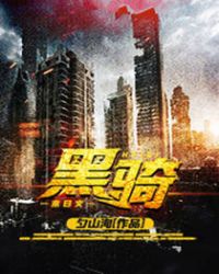 黑骑章节列表