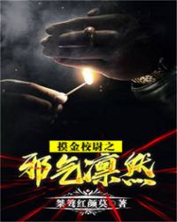摸金校尉之邪气凛然章节列表