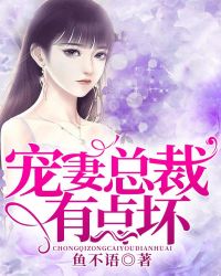 宠妻总裁有点坏章节列表