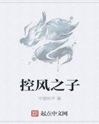 控风之子章节列表