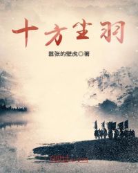 十方尘羽章节列表