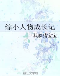 综小人物成长记章节列表