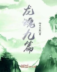 龙魂九篇章节列表