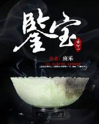 鉴宝章节列表