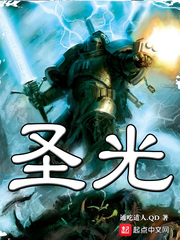 圣光章节列表