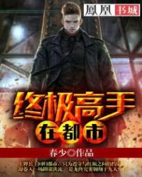 终极高手在都市章节列表