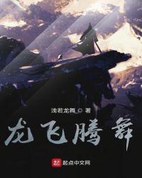 龙飞腾舞章节列表