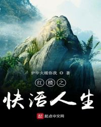 红楼之快活人生章节列表