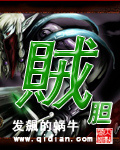 贼胆章节列表